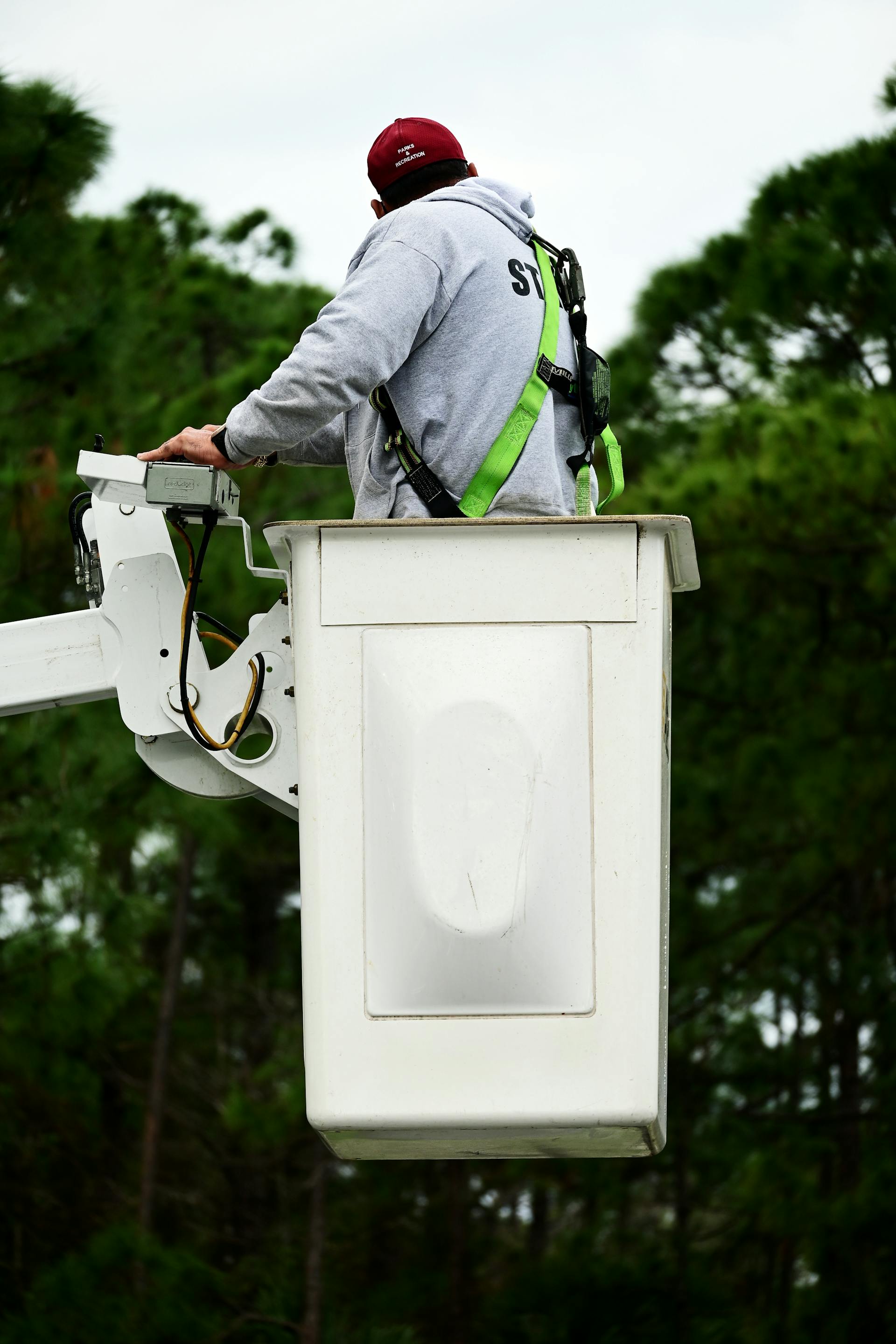 Arborist in a bucket lift removing a large tree near a Yonkers home